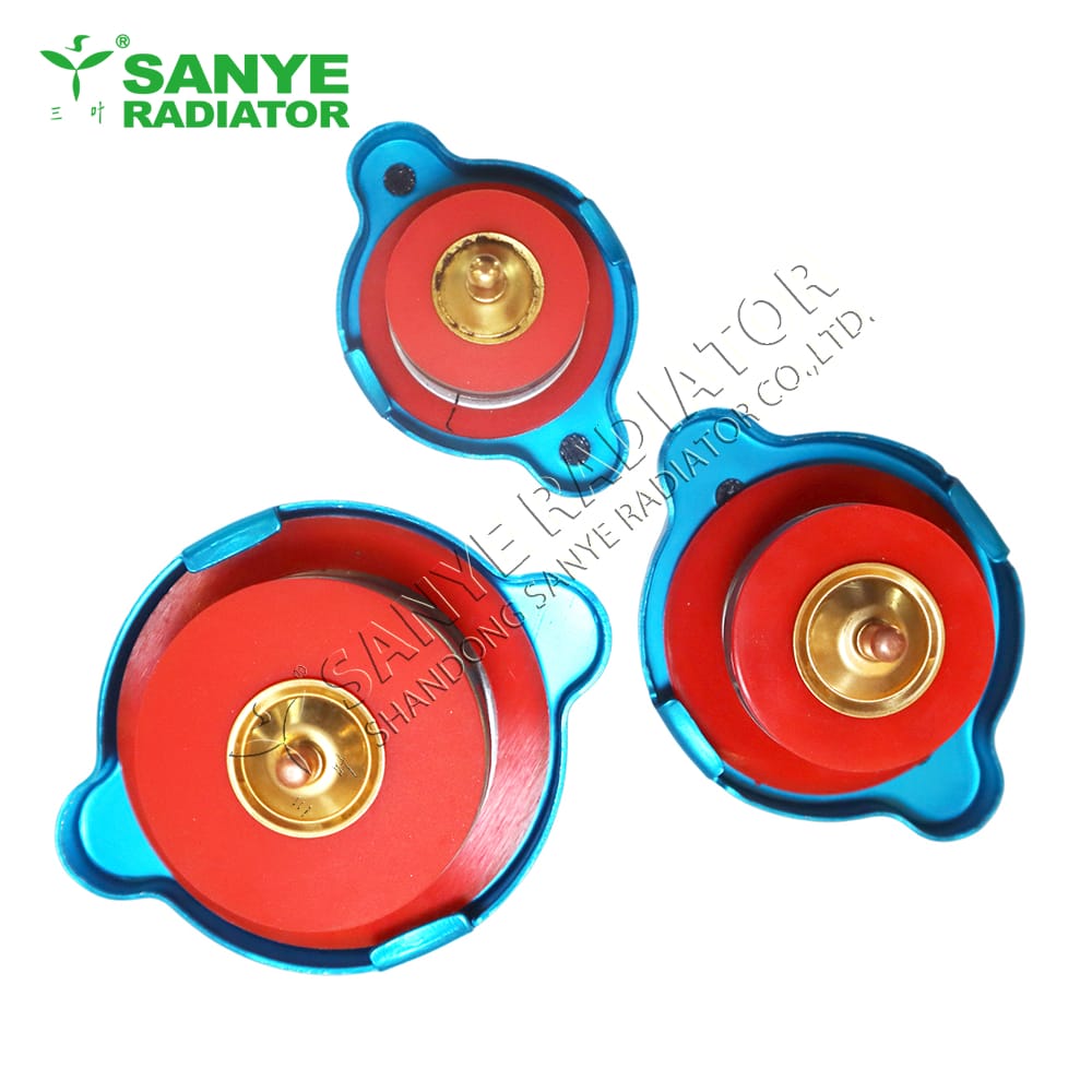0.9 1.1 Radiator cap with visual thermometer