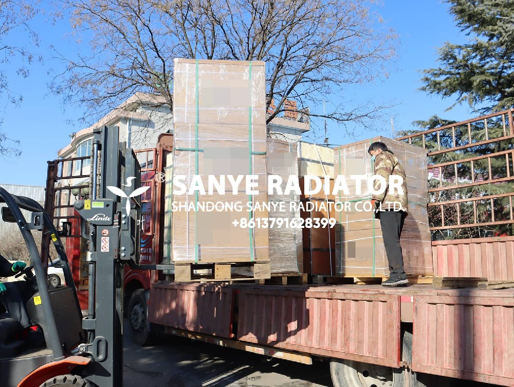 Exclusive favorites for regular Southeast Asian customers! Custom radiator finally shipped!